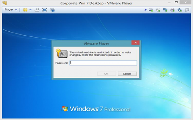 VMware Player