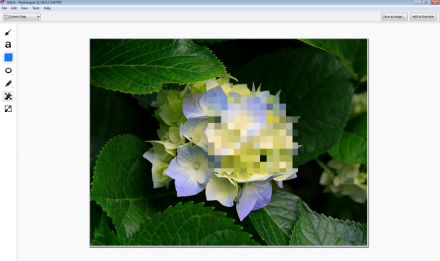 Skitch Tools: pixelate