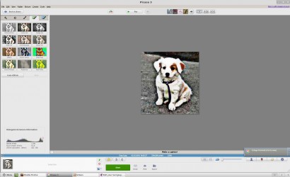 Picasa Graphic Tool