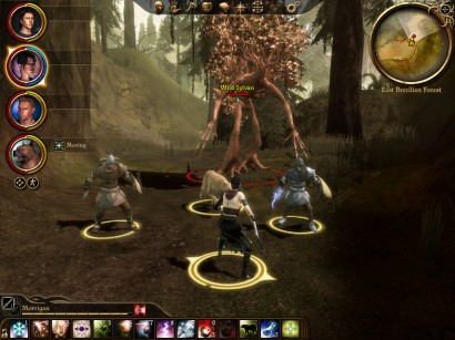 Playing Dragon Age: Full Party