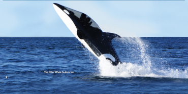 Hammacher Schlemmer: Free Willy!